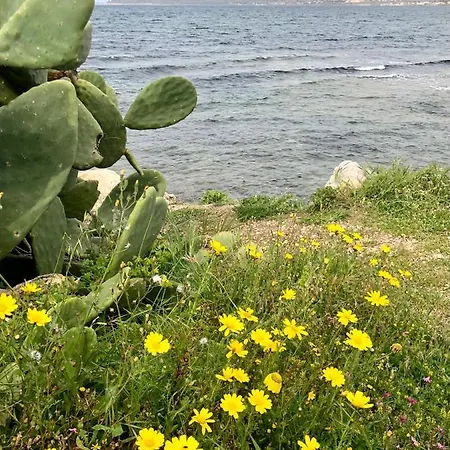 Feriehus Casa Vacanze Ninetta Custonaci